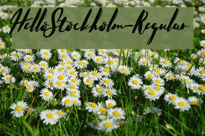HelloStockholm-Regular Font examples