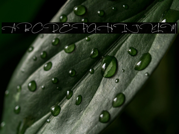 HelloStylish-Regular Example 3