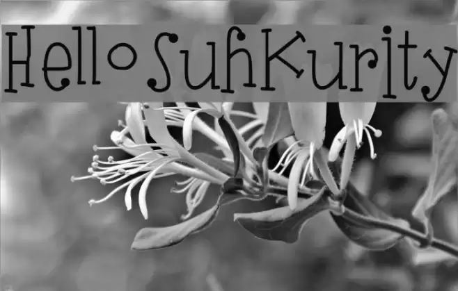 HelloSuhKurity Font examples