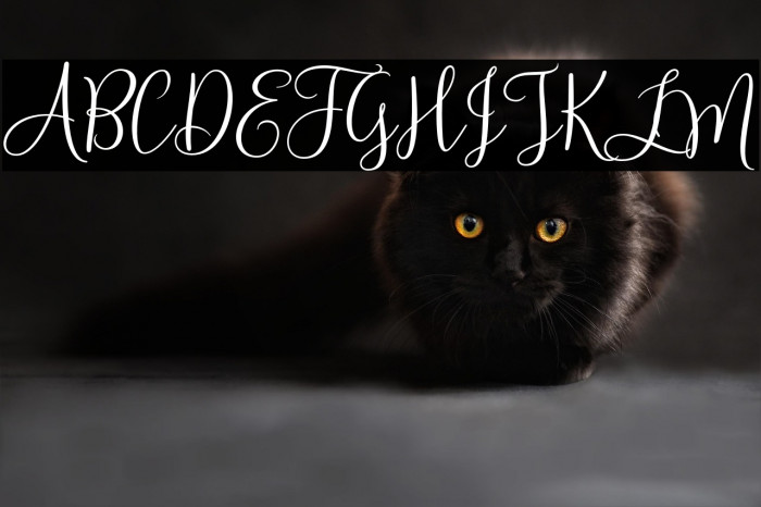 HelloSunrise Example 1