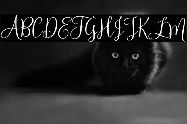 HelloSunrise Font examples