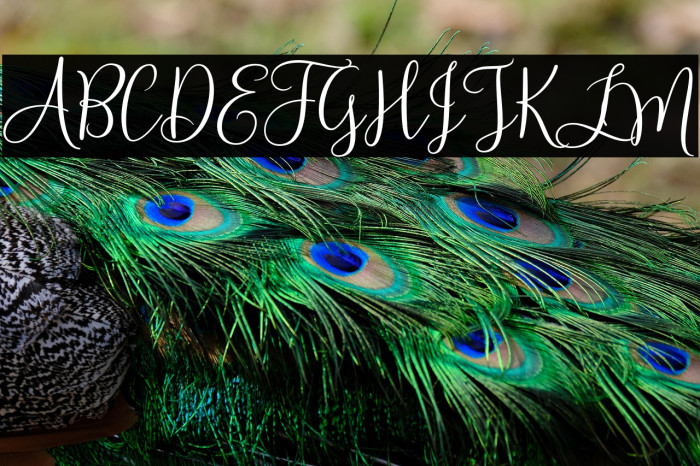 HelloSunrise Example 2