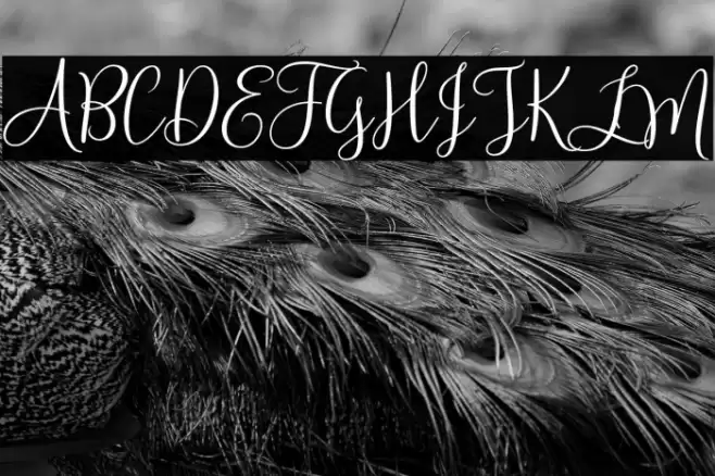 HelloSunrise Font examples