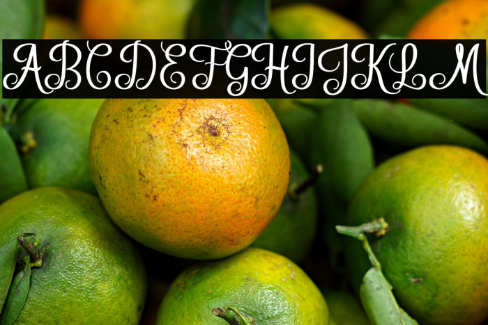 HelloSweety Example 2