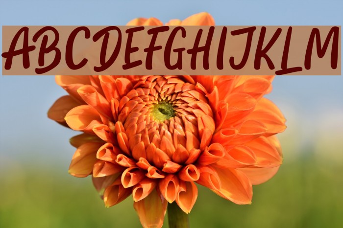 HelloTeman Font examples