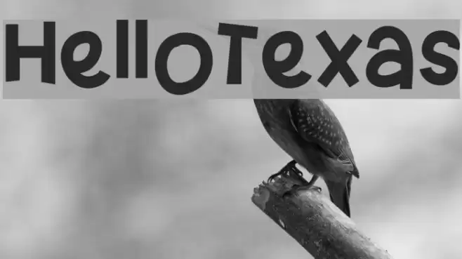 HelloTexas Font examples