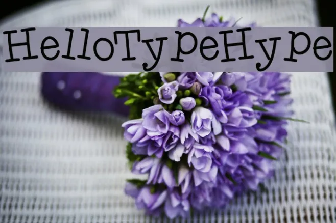 HelloTypeHype Example 1