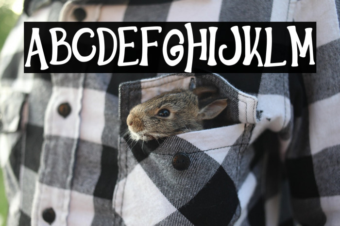 HelloWindsDEMO-Regular Example 1