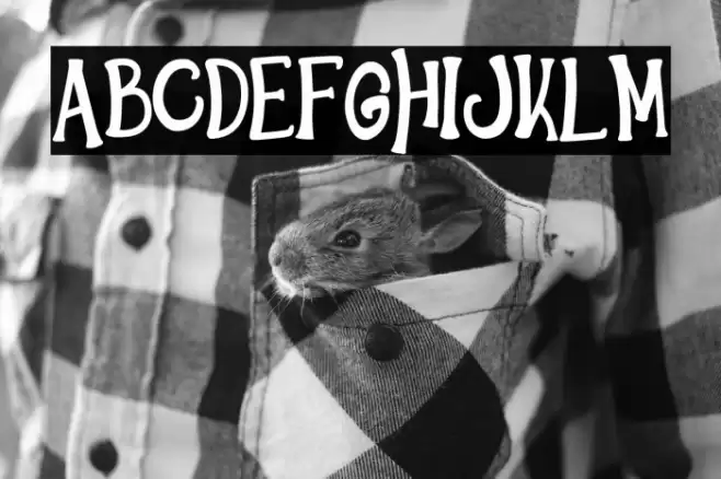 HelloWindsDEMO-Regular Font examples