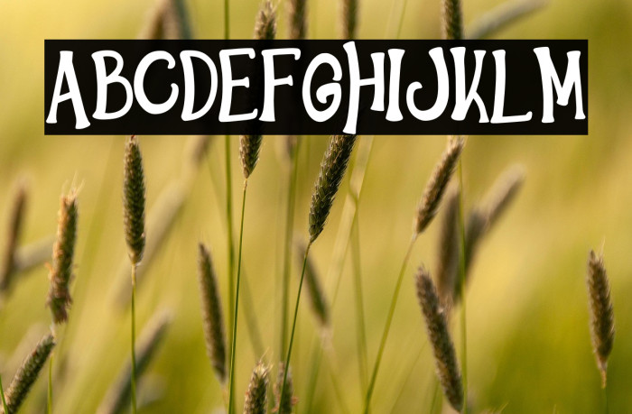 HelloWindsDEMO-Regular Example 2