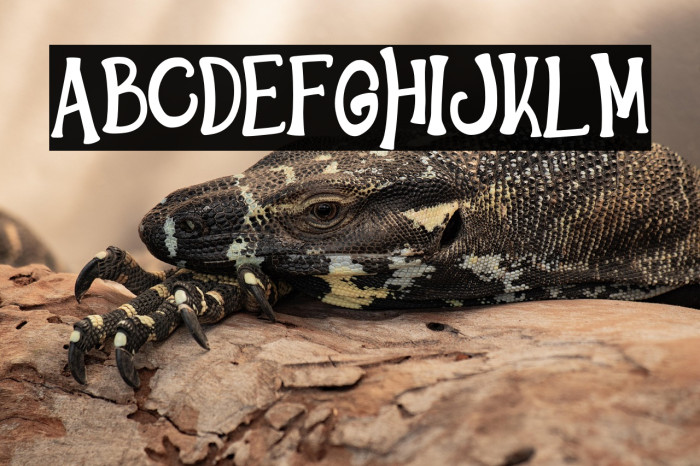 HelloWindsDEMO-Regular Example 3