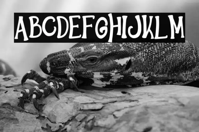 HelloWindsDEMO-Regular Font examples