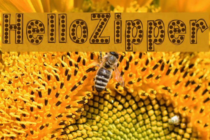 HelloZipper Font examples