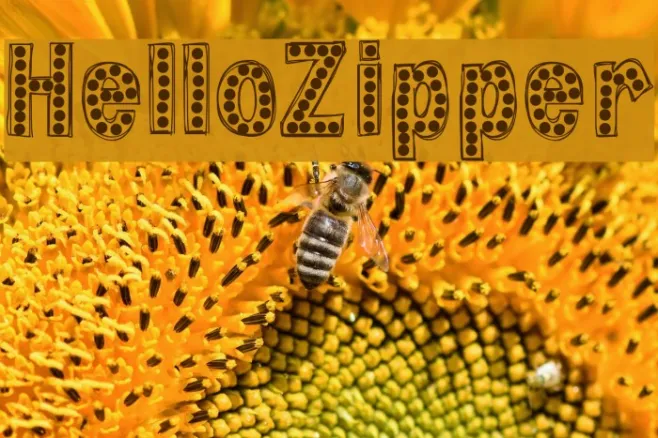 HelloZipper Example 2