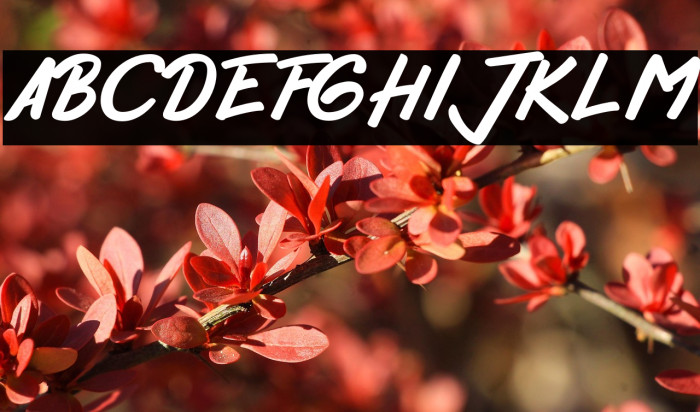 HelloZone Шрифта examples