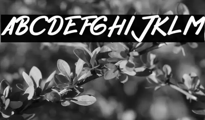 HelloZone फ़ॉन्ट examples