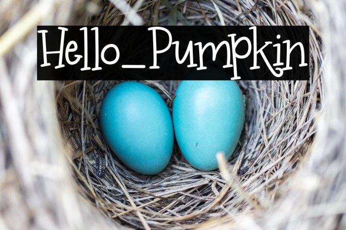 Hello_Pumpkin Example 1