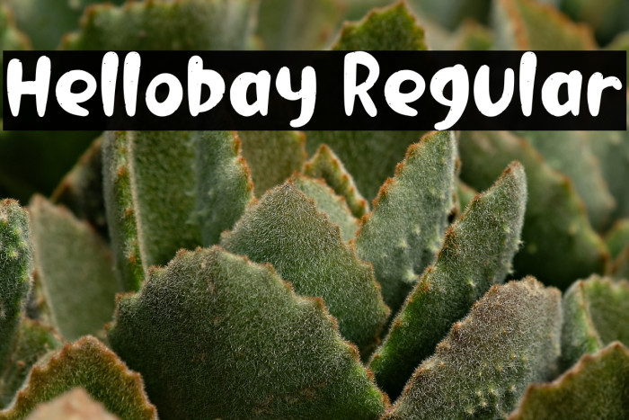 Hellobay Regular Example 3