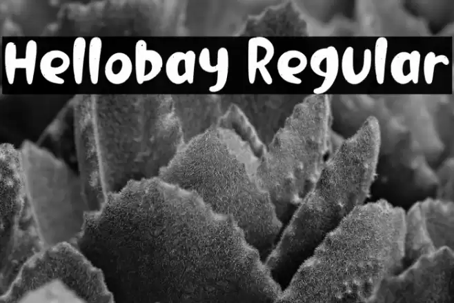 Hellobay Regular Font examples