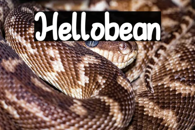 Hellobean Example 2