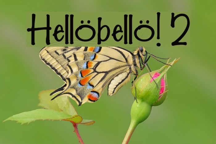 Hellobello! 2 Font examples