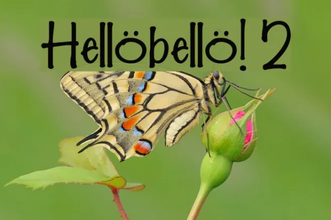 Hellobello! 2 Example 2