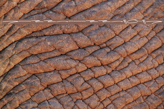 HellobelloSwash Example 3