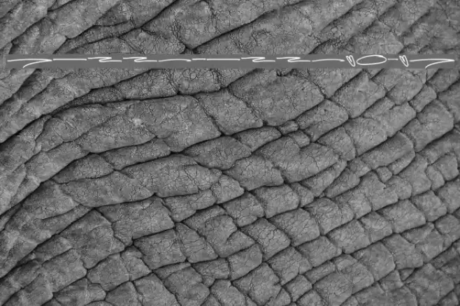 HellobelloSwash Font examples