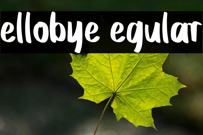 Hellobye Regular Example 3