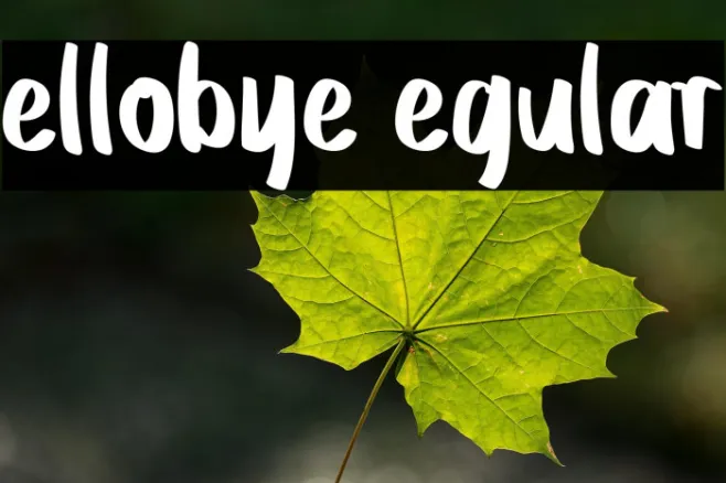 Hellobye Regular Example 3