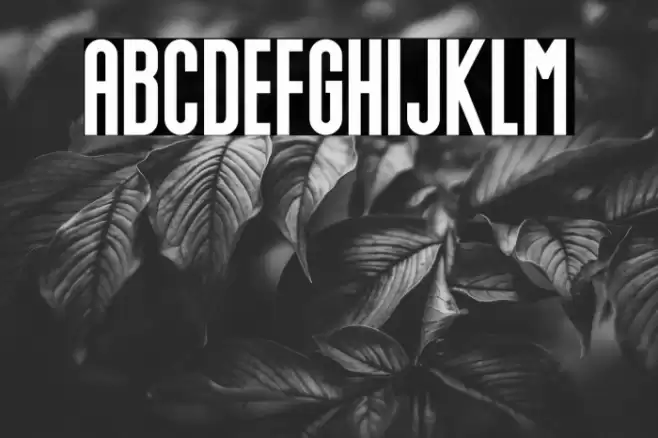 Hellocute Font examples