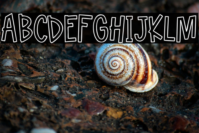 Hellofreeday Outline DEMO Example 3