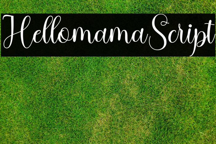 HellomamaScript Example 2