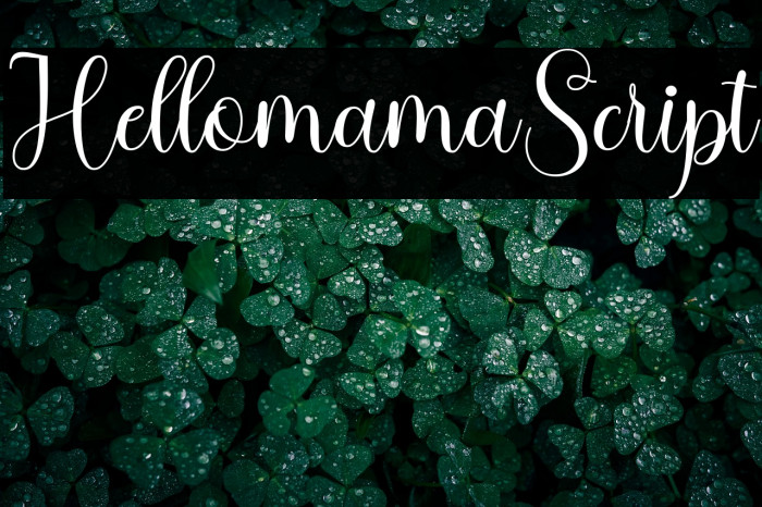 HellomamaScript Example 3