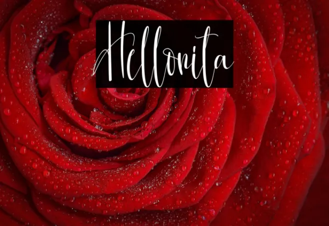 Hellonita Example 3