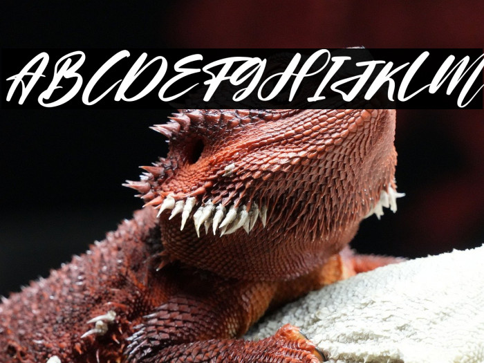 Helloria Abigail Italic Example 1