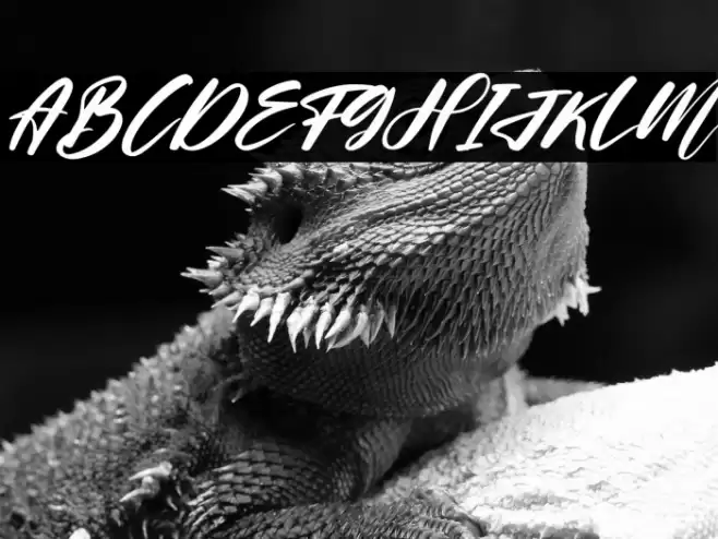 Helloria Abigail Italic Font examples