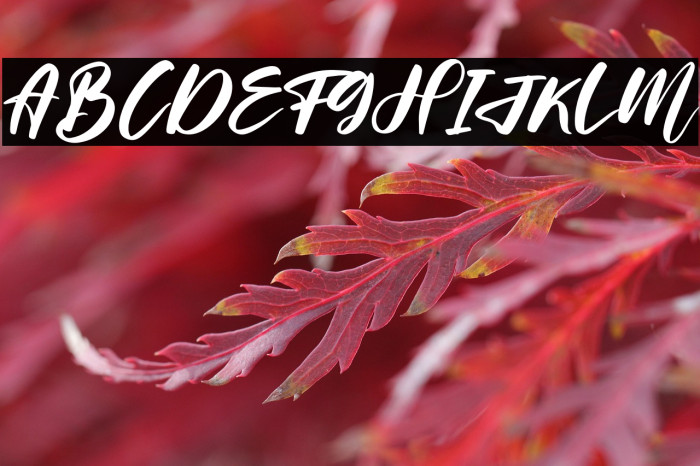 Helloria Abigail Example 1