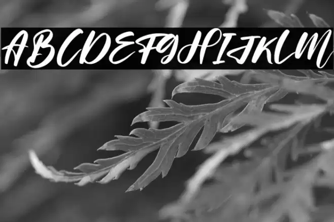 Helloria Abigail Font examples