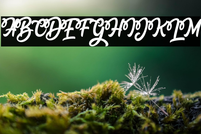 Hellosty Blast Example 3