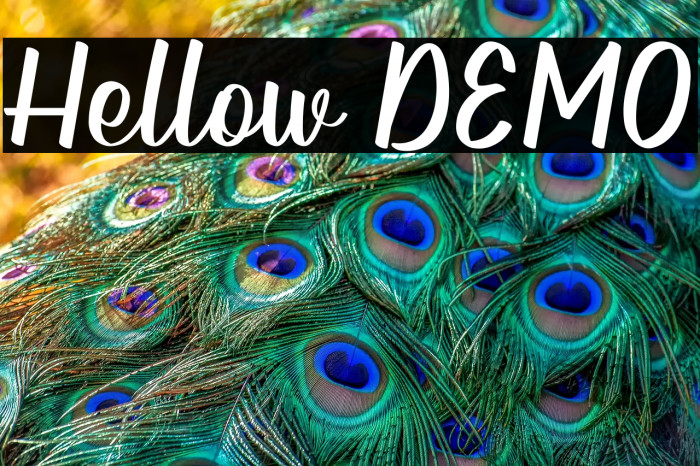 Hellow DEMO Example 1