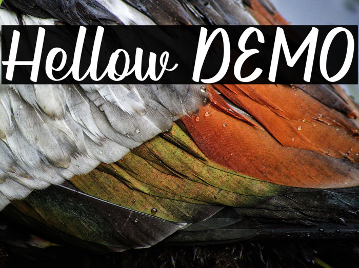 Hellow DEMO Example 2