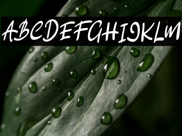 HellowFREE Example 1