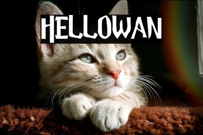 Hellowan Example 2