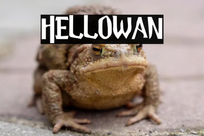 Hellowan Example 3