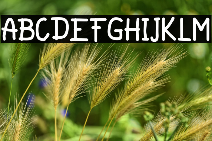 Hellowen Regular Example 2