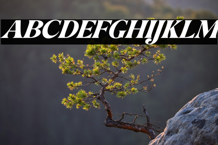 Hellowin Italic Example 1