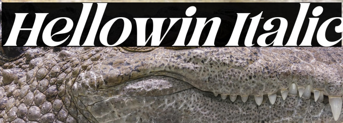 Hellowin Italic Example 1