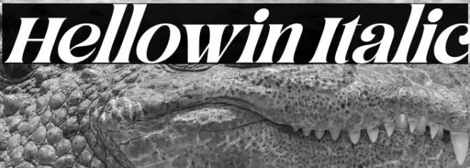 Hellowin Italic Font examples