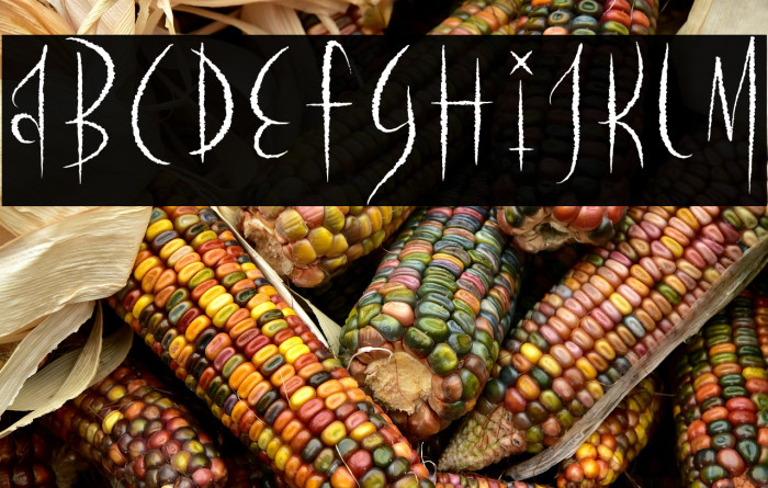 Hellowin Scatcher Example 3